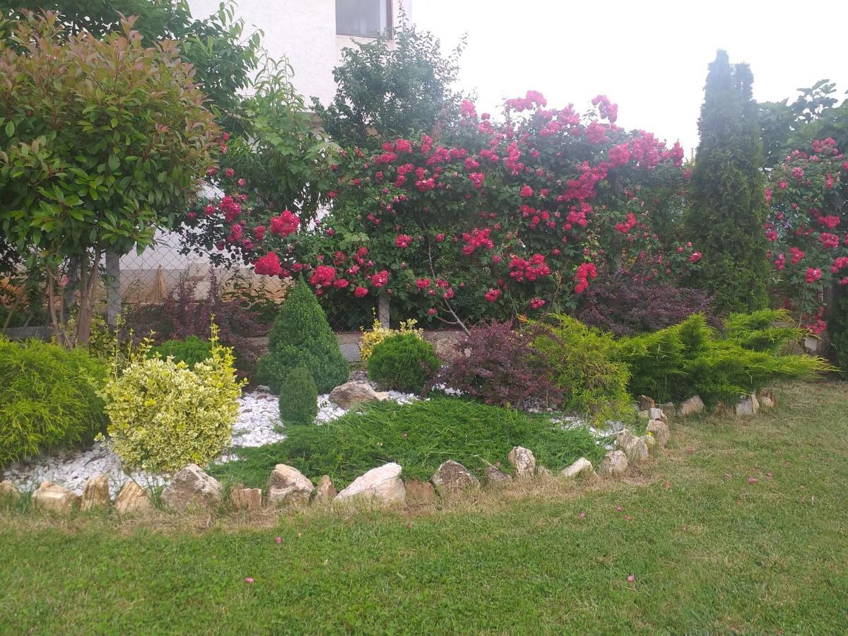 Villa Silva Ochrid Exteriér fotografie