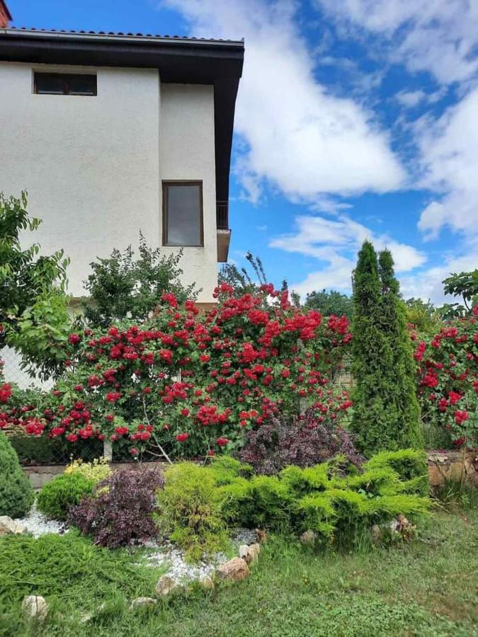 Villa Silva Ochrid Exteriér fotografie